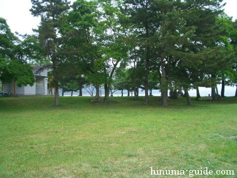 親沢公園キャンプ場のテントサイト・右側